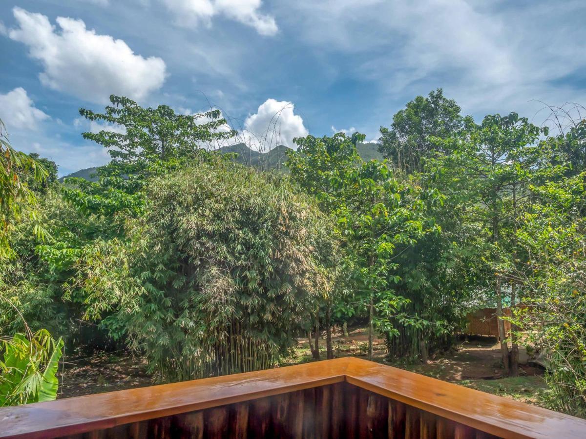 Blue Moon Guesthouse Puerto Princesa ภายนอก รูปภาพ