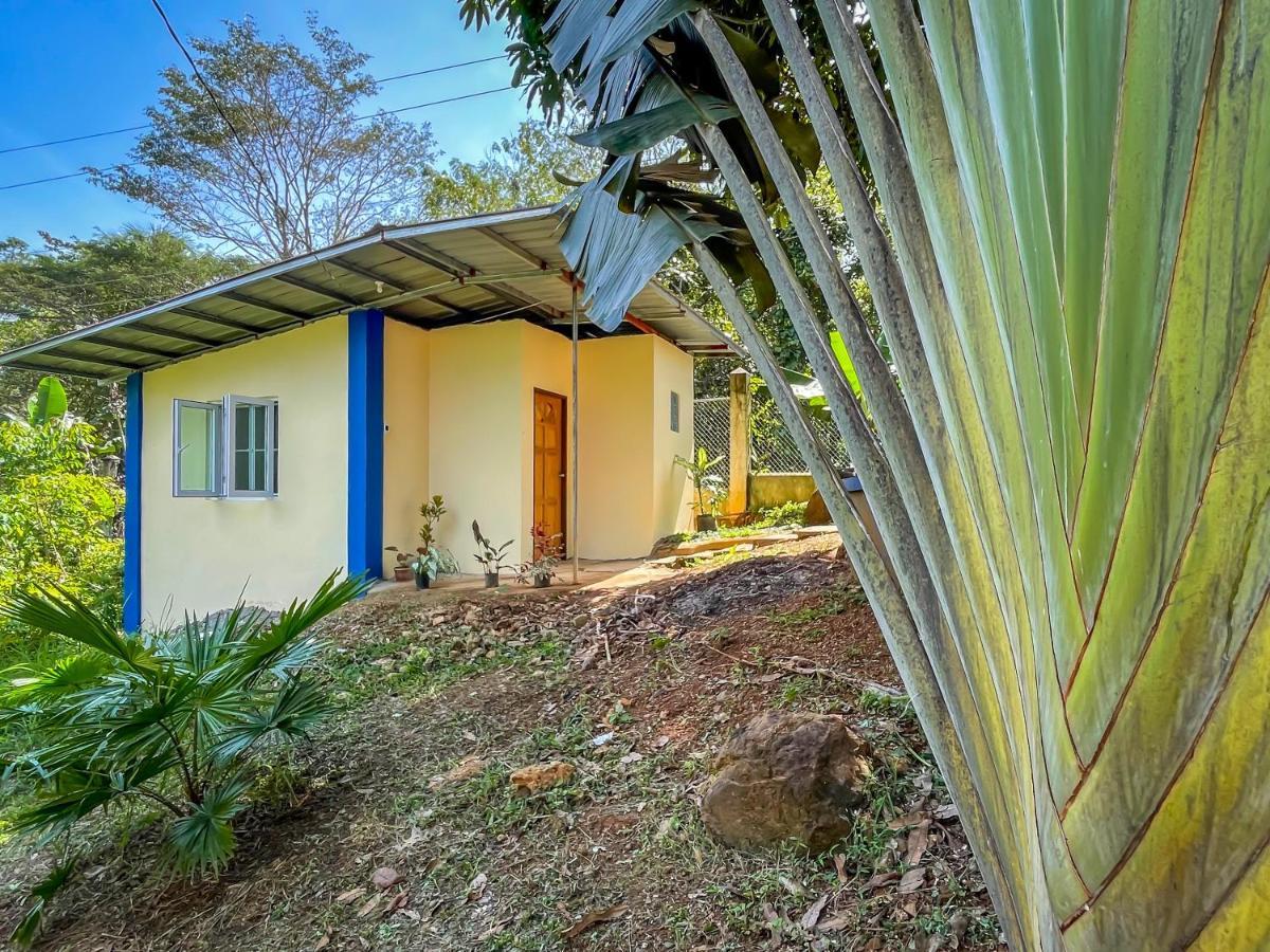 Blue Moon Guesthouse Puerto Princesa ภายนอก รูปภาพ