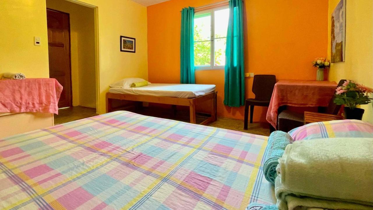Blue Moon Guesthouse Puerto Princesa ภายนอก รูปภาพ