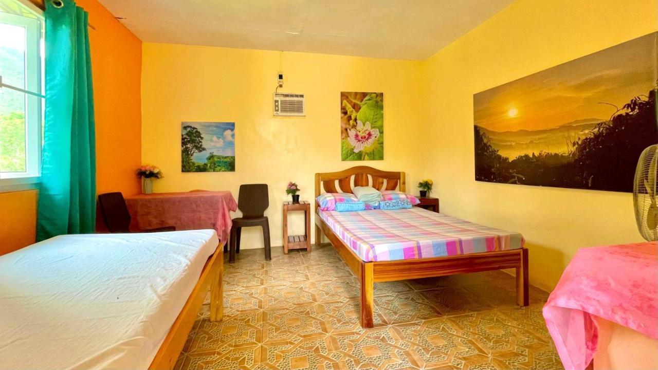Blue Moon Guesthouse Puerto Princesa ภายนอก รูปภาพ