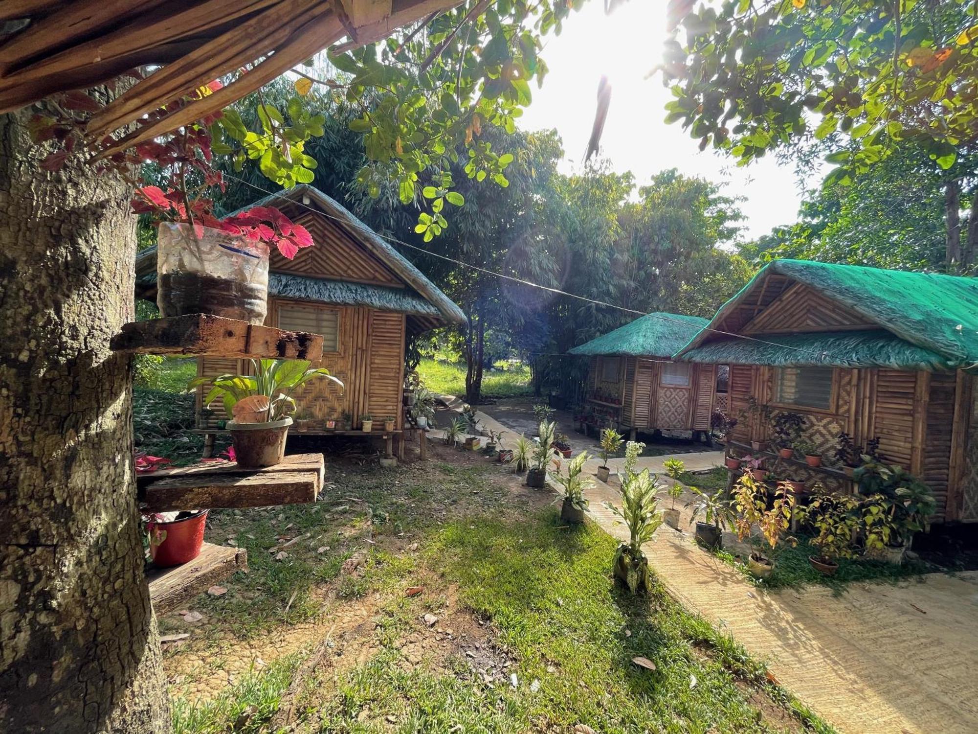 Blue Moon Guesthouse Puerto Princesa ภายนอก รูปภาพ