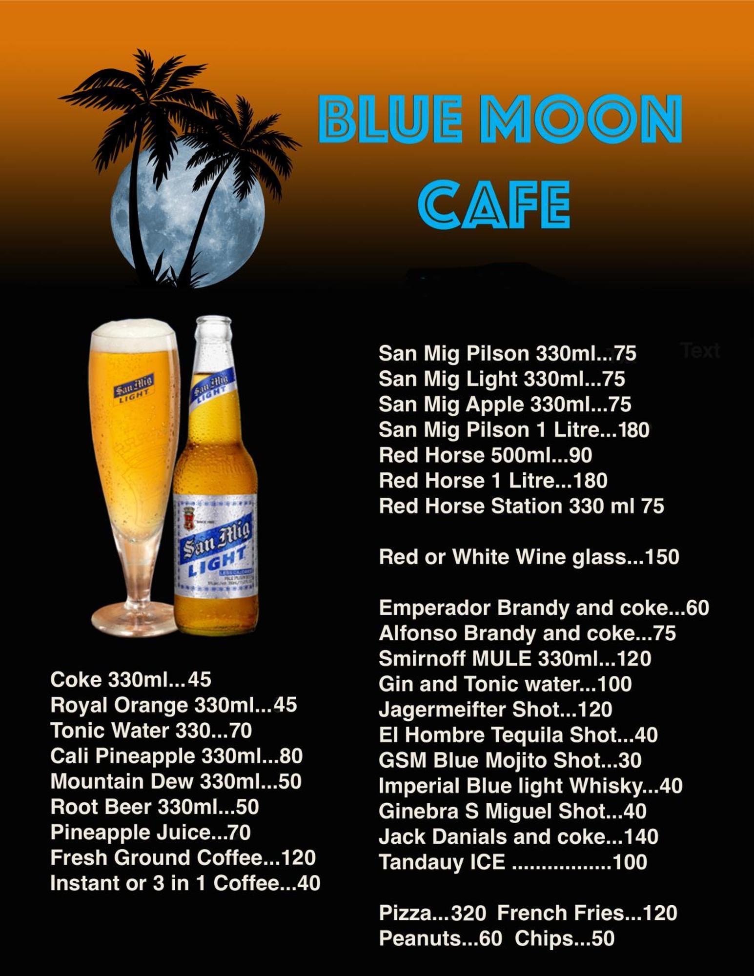 Blue Moon Guesthouse Puerto Princesa ภายนอก รูปภาพ