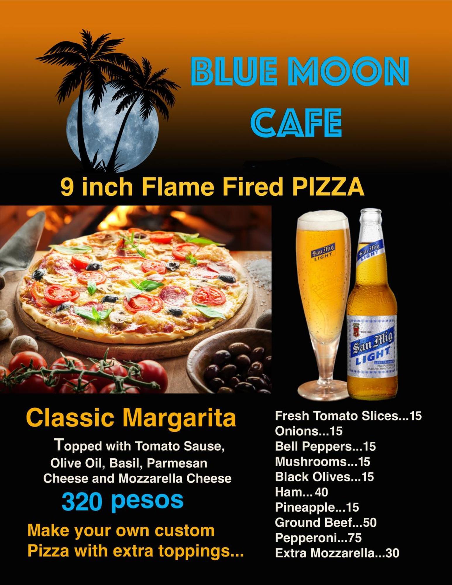 Blue Moon Guesthouse Puerto Princesa ภายนอก รูปภาพ